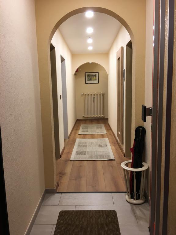 Large Wuerzburg Apartment Buitenkant foto